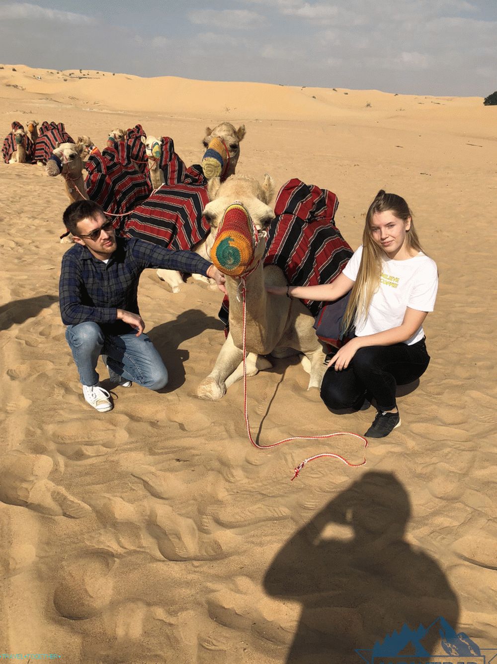 Safari camel rides