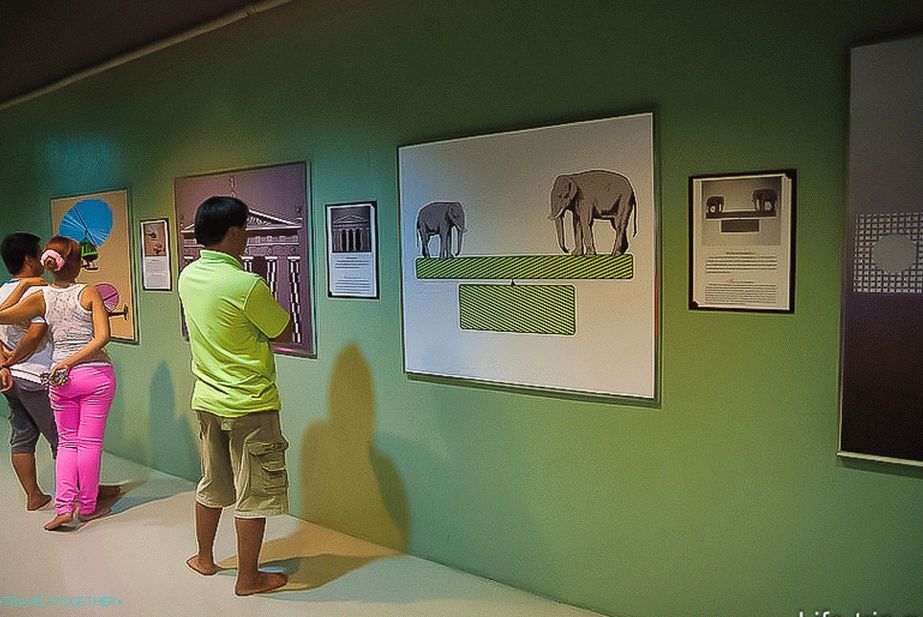 3D galerija u Pataji - atrakcija za selfie za decu i odrasle