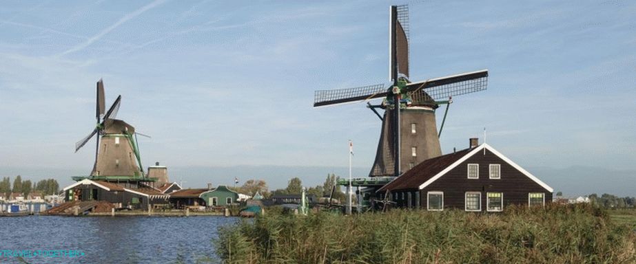 Molen het  Jonge schaap 
