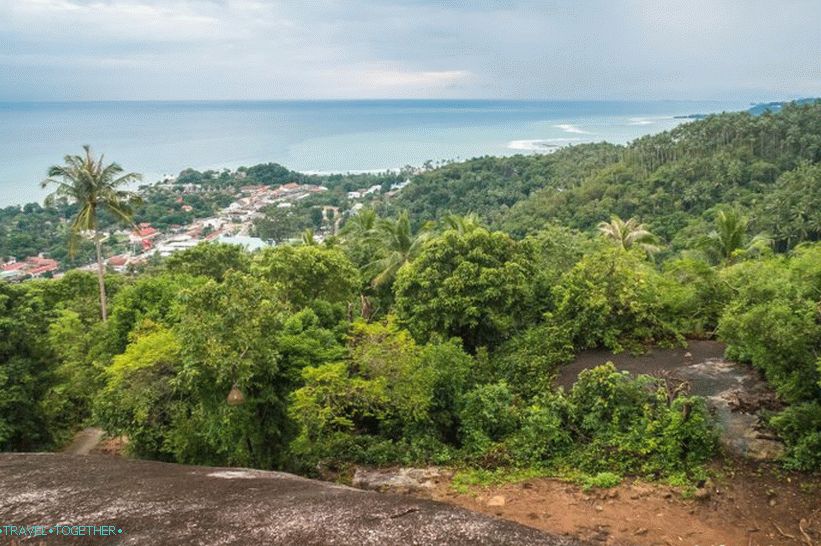 Samui Camp Bar - najbolja točka na Samuiju i užasnom Budi u šumi