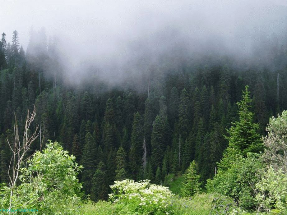 Borjomi-Kharagauli