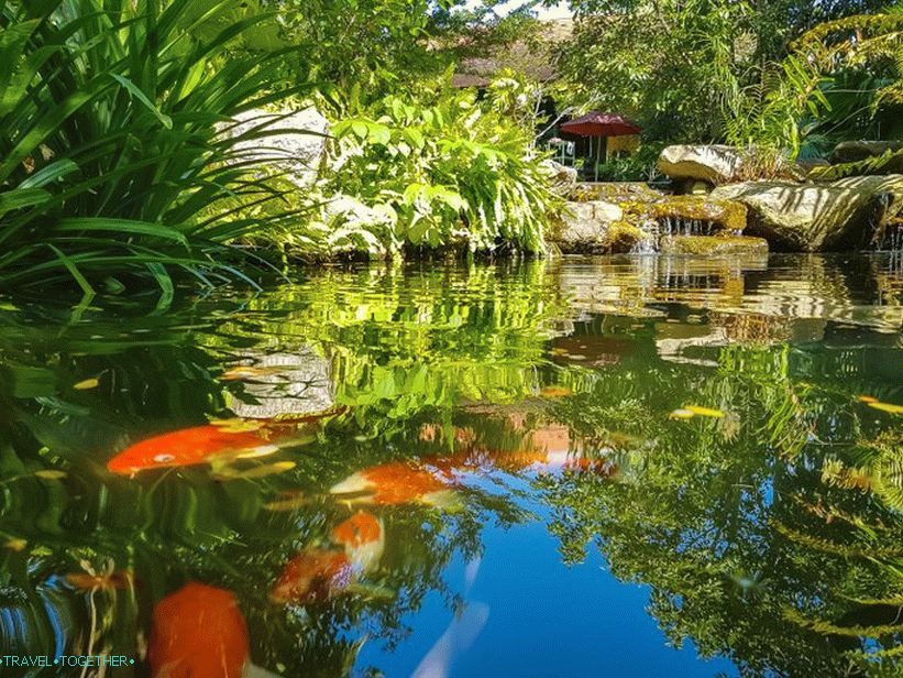 Botanička bašta u Phuketu - za ljubitelje biljaka i sebe