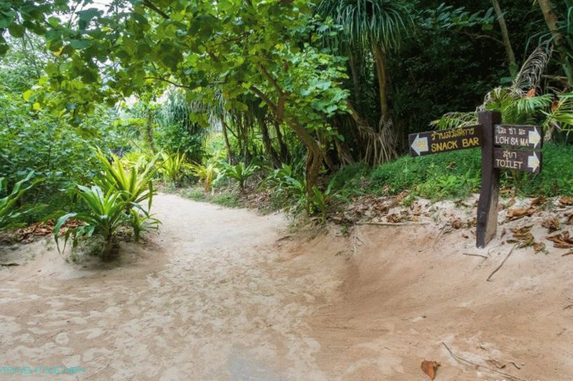 Bay Bay Bay na Phi Phi - cijela istina o plaži iz filma s Di Capriom