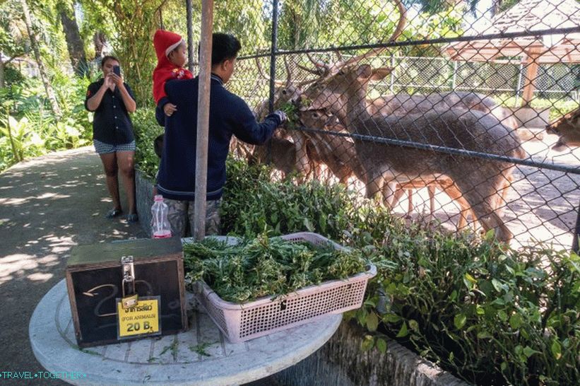 Zoološki vrt Phuket