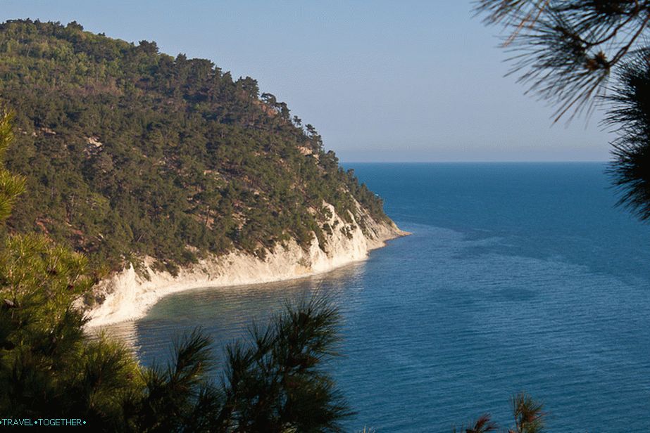 Okružen pizza zvijezdama