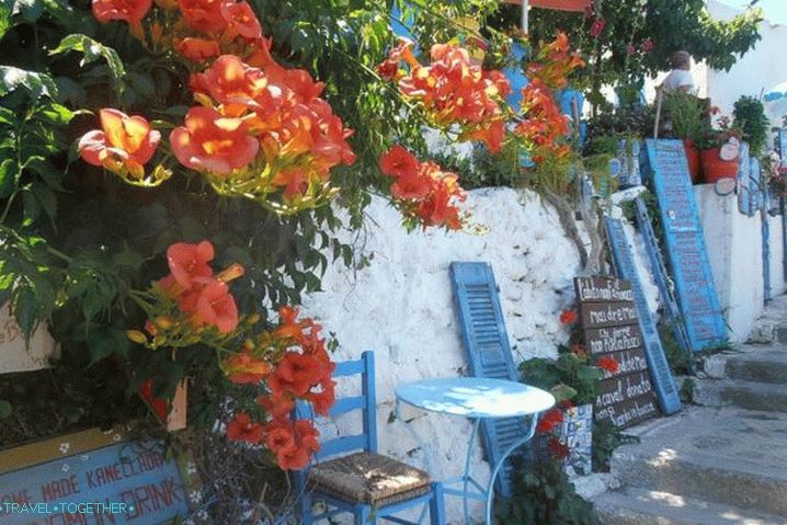 Kos, selo Zia