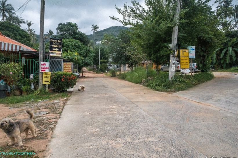 Gekko Bar na Samui - kultno mjesto za upoznavanje prijatelja s glazbom