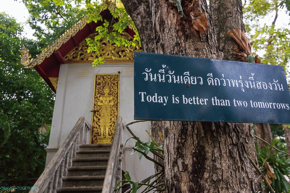 Tanjuri sa pametnim mislima