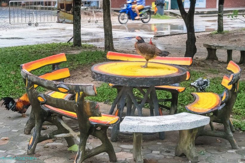 U sjeni možete sjesti i jesti - to je normalno u Tajlandu