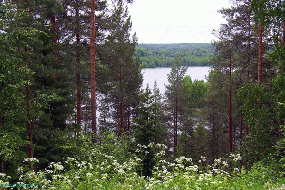 Beauty Kenozerye, Arkhangelsk region