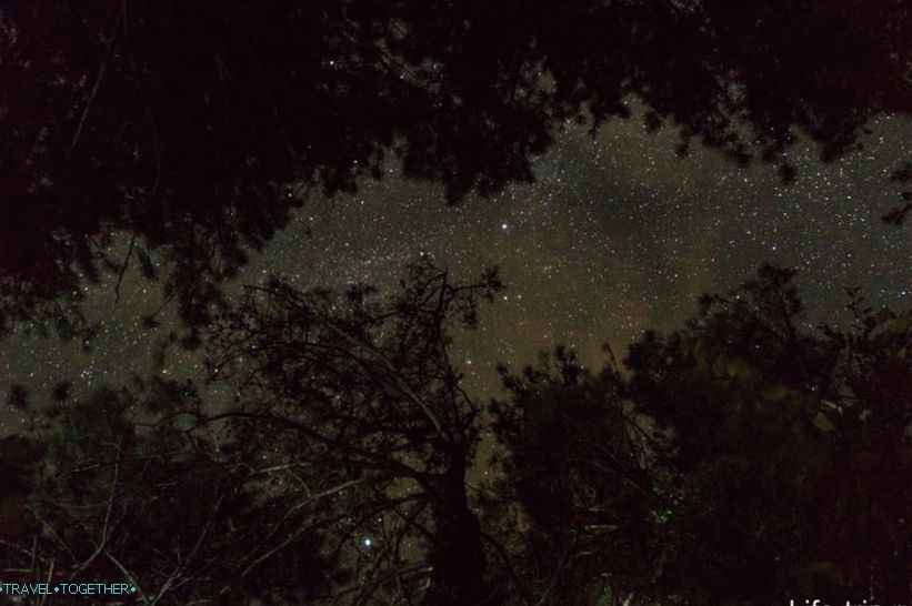 Pa, i noću nećete videti takve zvezde u gradu