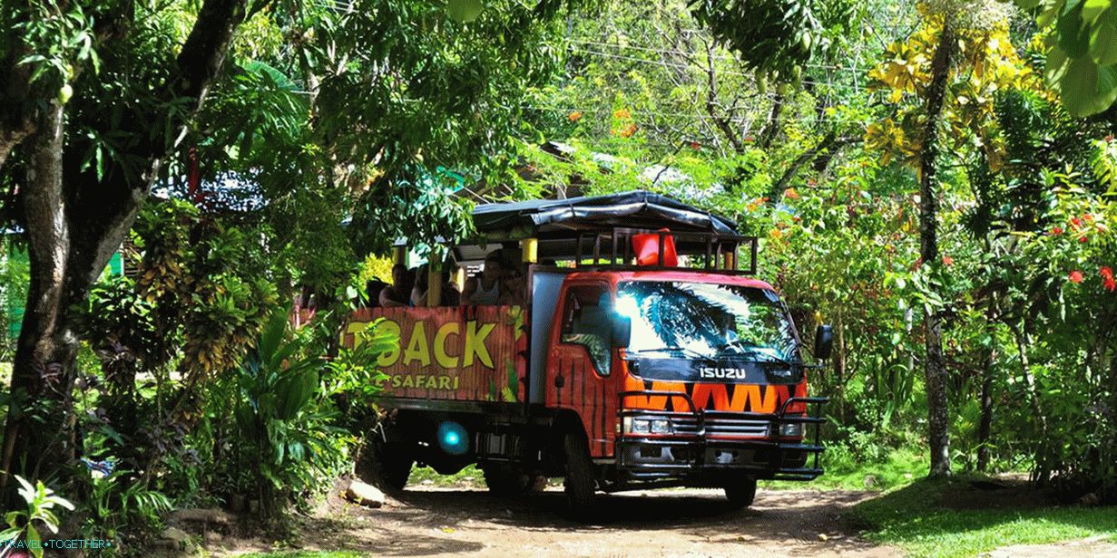 Outback Jungle Safari