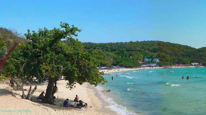 Plaža majmuna na Koh Lan