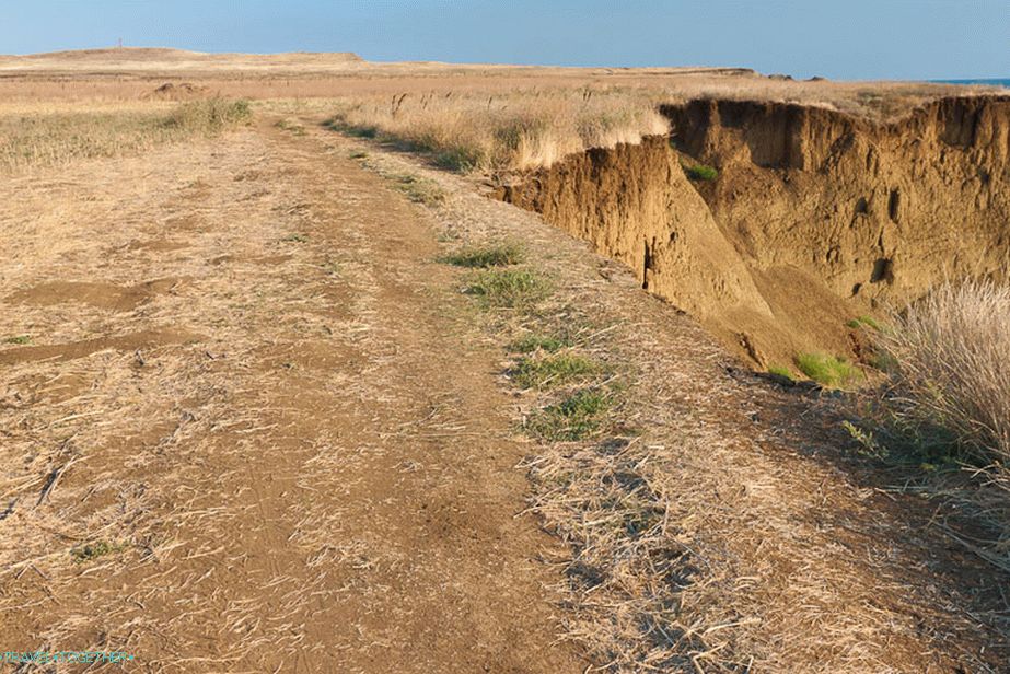 Ali ponekad padnu u more