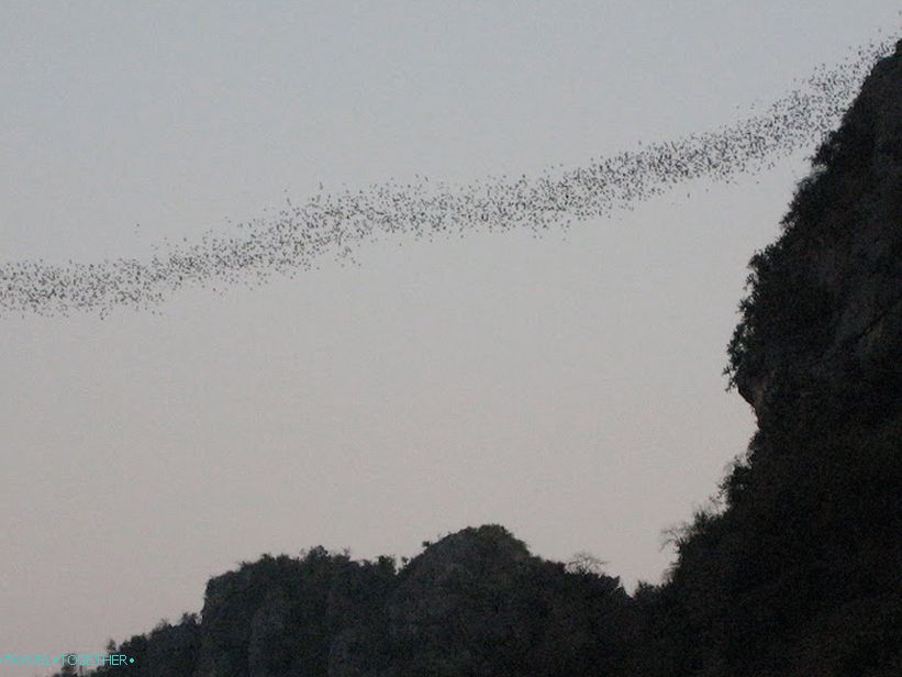 Bat špilja u blizini Hua Hina