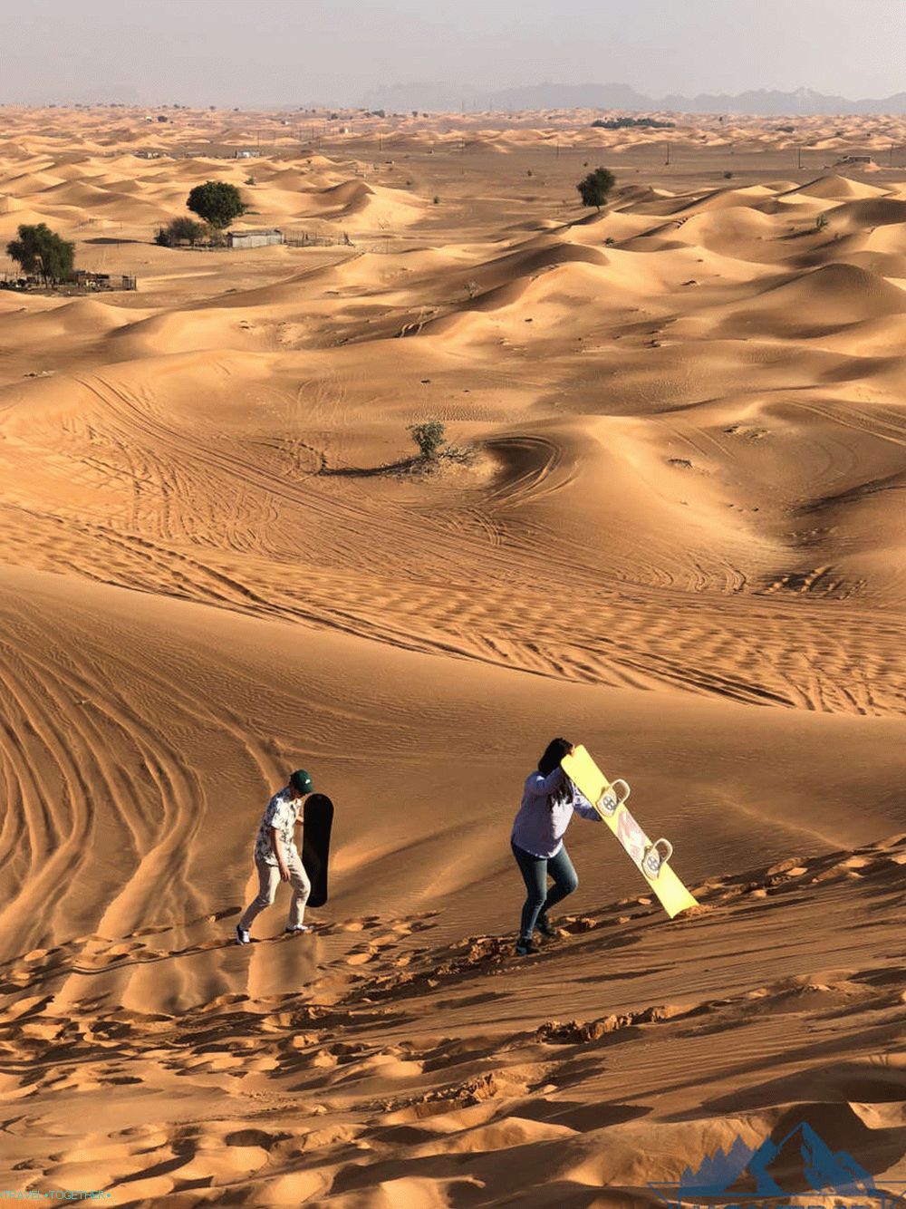 Safari u Dubaiju