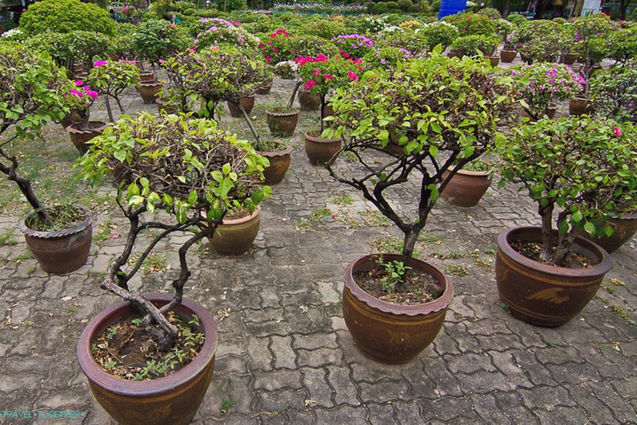 Lumpini Park