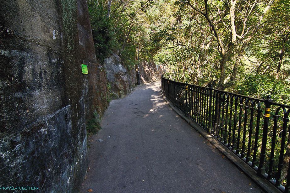 Jutarnja staza oko Viktora Peak, tu je zapravo mnogo ljudi