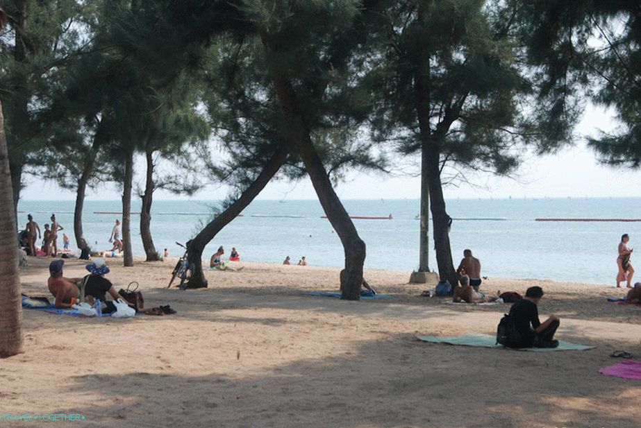 Deo plaže sa kasuarinima i bez redova ležaljki