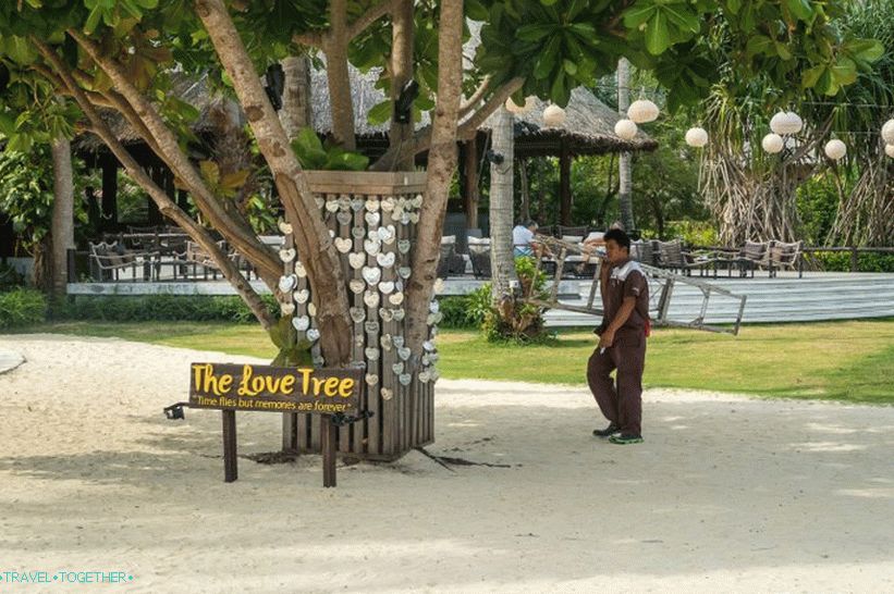 Plaža Lo Ba Kao je najbolji izbor za dugi odmor na Phi Phi Don Island
