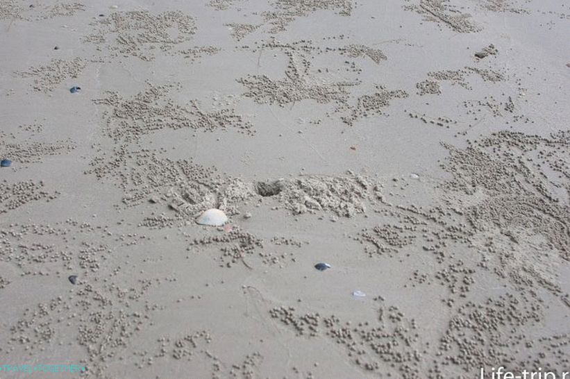 Pan Beach u Krabiu je duga i potpuno divlja