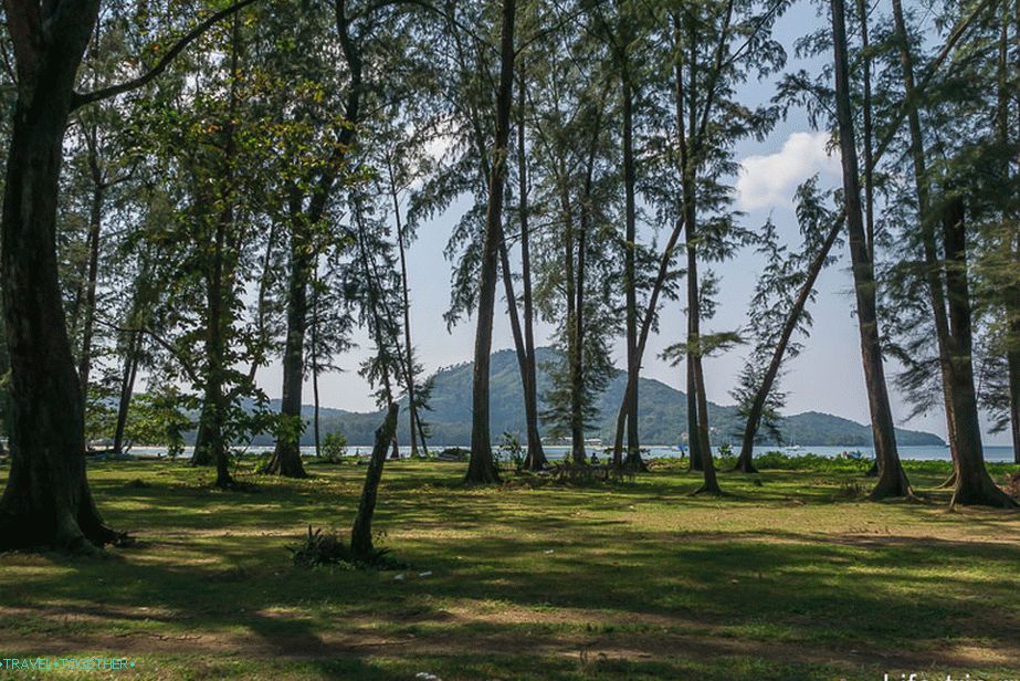 Uglavnom slatko i zeleno