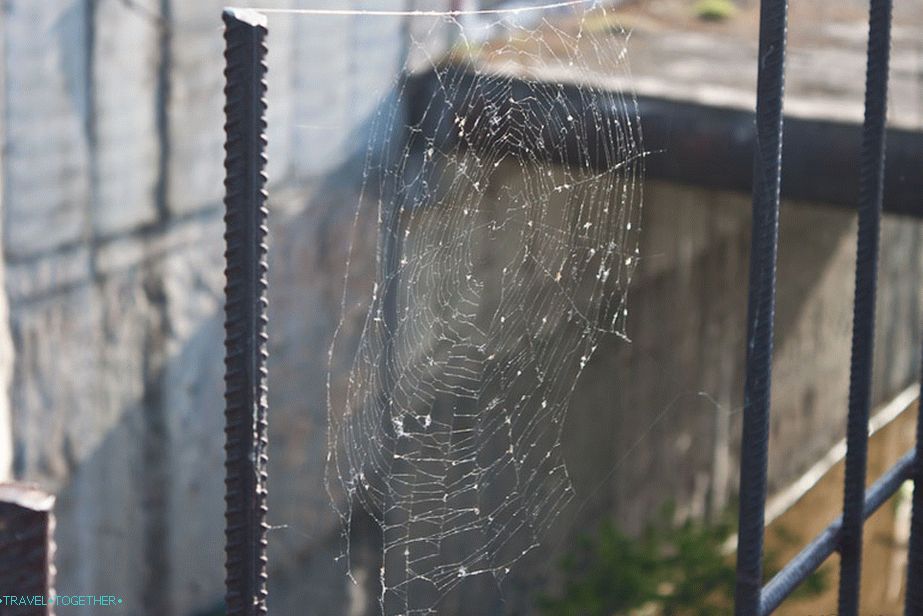 Novi stanovnik sela Gidrostroja