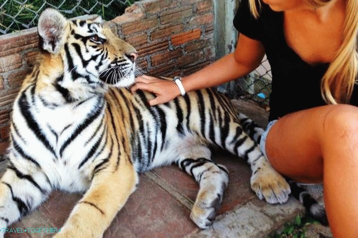 Zoološki vrt Phuket