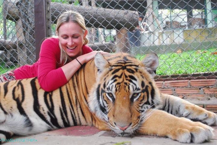 Phuket, Kraljevstvo Tigers Parka