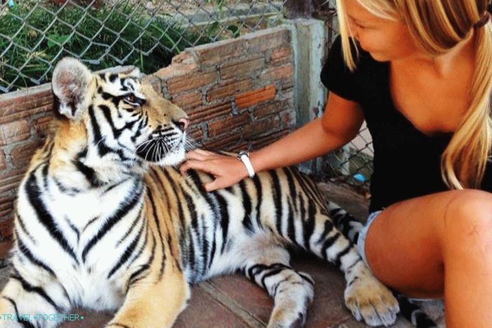 Phuket Phuket Zoo