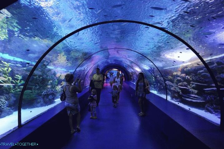 Antalya Dolphinland