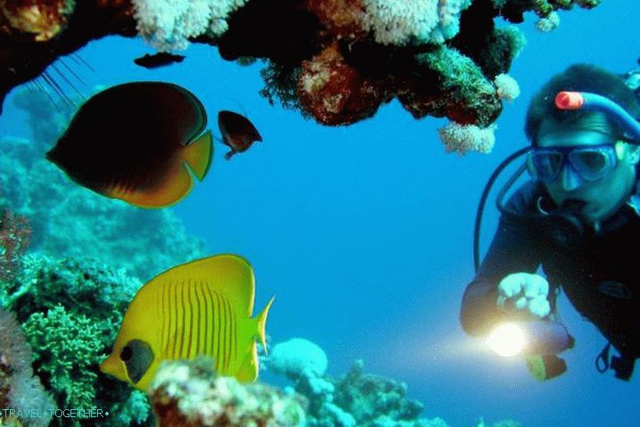 Hurgada ronjenje u Hurgadi