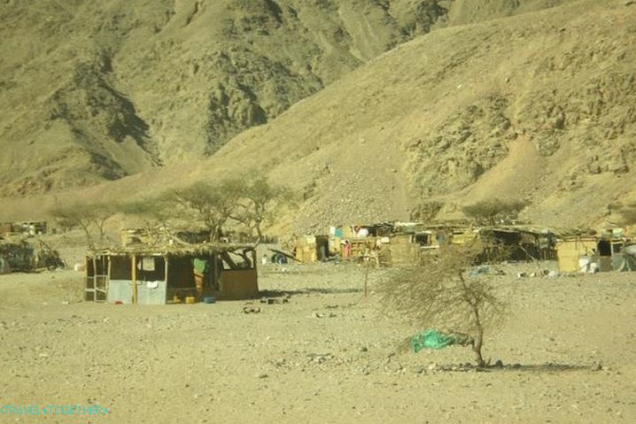 Taba, selo beduina