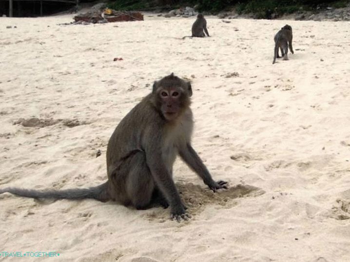 Vijetnam Nha Trang Monkey Island