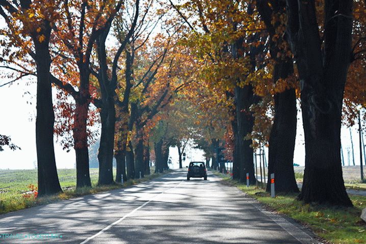 Ulica na putu je uobičajena pojava u Evropi.