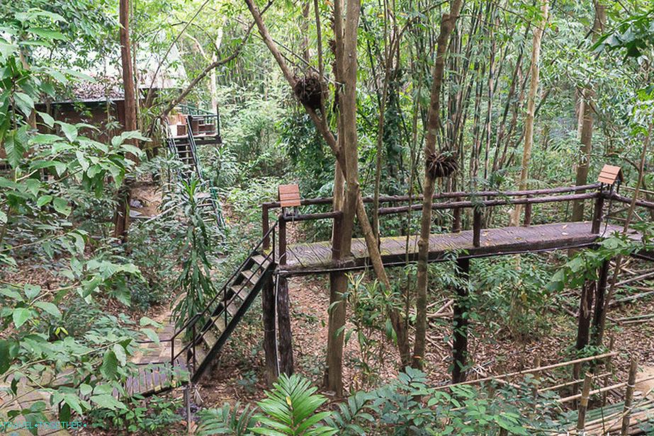 Noćenje u nacionalnom parku u kućici na drvetu - Treehouse Resort