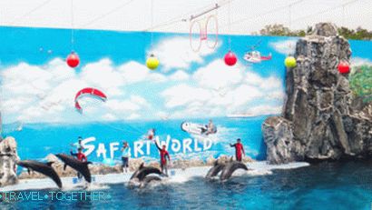Zabava u Jomtienu - Dolphin World Pattaya
