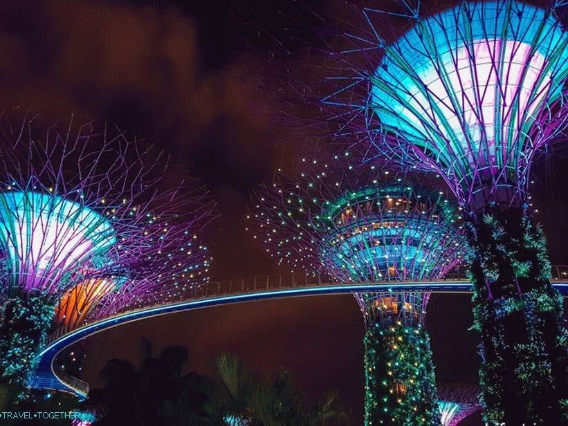 Light show sa stablima od Avatar-a u Singapuru - obavezno pogledajte!