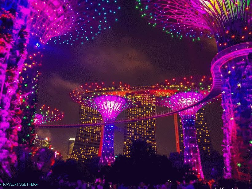 Light show sa stablima od Avatar-a u Singapuru - obavezno pogledajte!