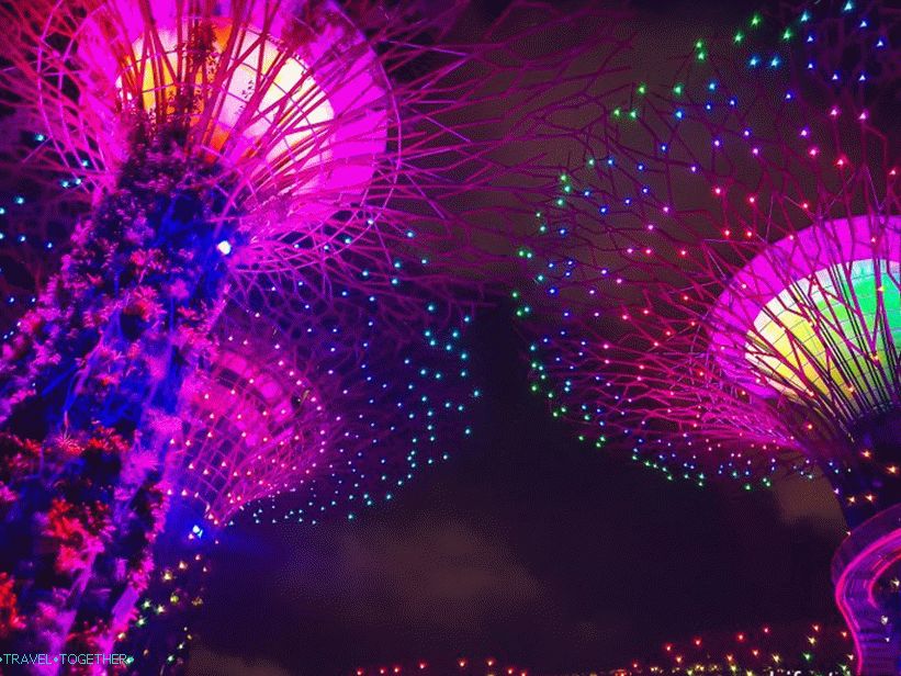 Light show sa stablima od Avatar-a u Singapuru - obavezno pogledajte!