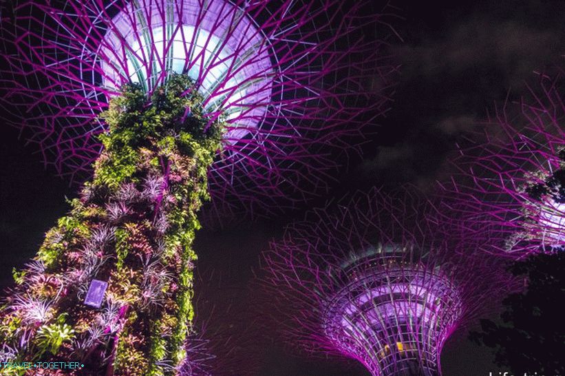 Light show sa stablima od Avatar-a u Singapuru - obavezno pogledajte!