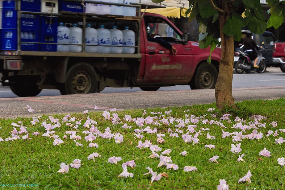 Šetnja oko grada Chiang Mai