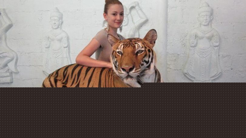 Tiger Zoo and Aquarium on Samui