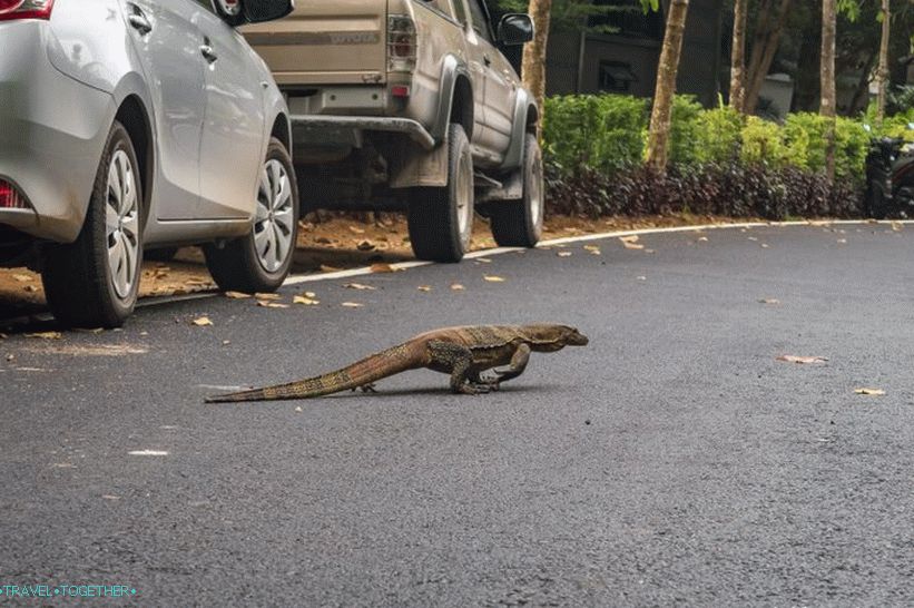 Parkirat ćete se - budite oprezni na putu da vam noge ne bi bile gažene