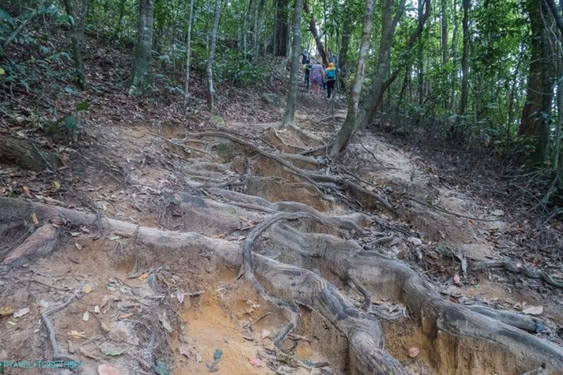 Treking na Tube Kaek u Krabiju - bolje od planina, mogu biti samo planine