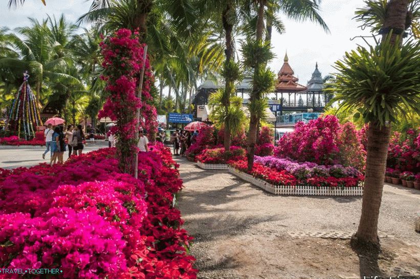 Nong Nooch Tropical Park u Pataji je glavna atrakcija