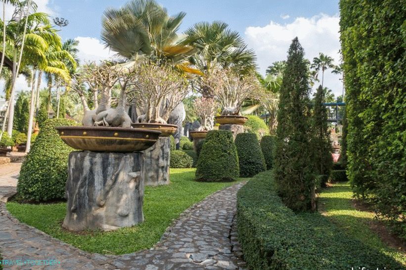 Nong Nooch Tropical Park u Pataji je glavna atrakcija