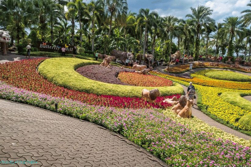 Nong Nooch Tropical Park u Pataji je glavna atrakcija