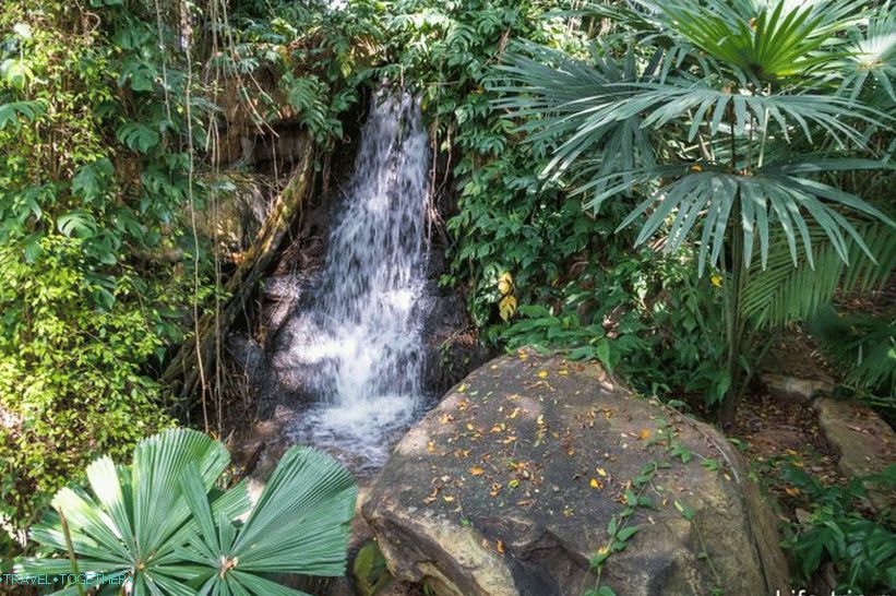 Nong Nooch Tropical Park u Pataji je glavna atrakcija