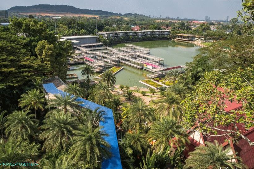 Nong Nooch Tropical Park u Pataji je glavna atrakcija